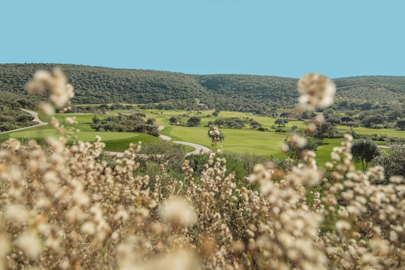 Geothermal energy: fueling the future at Ombria Resort in Portugal 